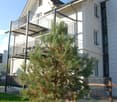 Two-story house with white exterior, multiple windows, and a balcony on the upper level. A small evergreen tree is in the front yard, enclosed by a chain-link fence.