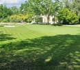 Well-maintained lawn with trees and a house in the background.