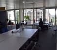 Office space with multiple desks, chairs, computer screens, keyboards, and a potted plant near the windows.