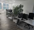 Modern office space with wooden flooring, large windows, multiple desks, office chairs, computer screens, and potted plants.