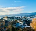 A panoramic view of a cityscape with numerous buildings, featuring varied architectural styles and rooflines, surrounded by trees and distant mountains under a partly cloudy sky.