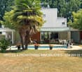 A modern house with a swimming pool, surrounded by a well-maintained garden, featuring a palm tree, lounge chairs, and outdoor furniture.