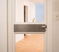 White door with glass panels and a silver mail slot, leading to an empty room with wooden flooring and white walls.