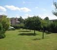 Well-maintained lawn with scattered trees and shrubs, a pink house in the background, and a clear blue sky.