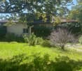 detached house, grey roof, single story, green vines, green garden, driveway, large windows, raised ground floor