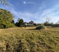 Open grassy area with tall grass and weeds, surrounded by trees and a house in the background.