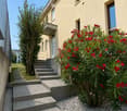 A raised garden area with concrete steps leading up to a house entrance, featuring a small bush with red flowers and a gravel bed.
