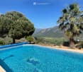 A private swimming pool surrounded by a stone patio, with a palm tree and olive tree nearby, overlooking a scenic valley and mountains.