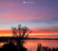 Serene outdoor view of a lake at sunset, with a tree in the foreground and distant hills under a colorful sky.