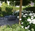 Garden with a patio area featuring a black metal table and chairs, surrounded by lush greenery and blooming white hydrangeas.