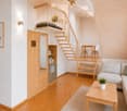 Modern, multi-level living space with a sofa, coffee table, potted plant, dining area with table and chairs, and a lofted sleeping area accessible by stairs.