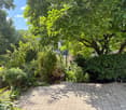 A well-maintained garden with a paved pathway, surrounded by lush greenery and trees, creating a serene outdoor space.