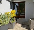 A modern outdoor patio with a tiled floor, large planter with yellow flowers and green foliage, and a stone bench. The entrance features a glass door with a wooden frame, and the area is shaded by a white roof structure.