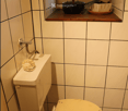 Small bathroom with white tiled walls, a toilet, a faucet, and a small shelf holding plants.