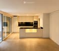 Modern, minimalist kitchen with light-colored cabinetry, a black countertop, and built-in appliances. Features large glass doors leading to an outdoor area.