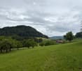A lush green meadow with scattered trees, a small wooden house, and a forested hill in the background under a cloudy sky.