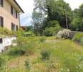 Lush garden with a variety of flowers and plants, a wooden fence, and a house with multiple windows and shutters in the background.