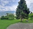 Well-maintained garden with green lawn, tall trees, and a view of mountains in the background.