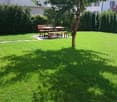 Well-maintained garden with a lawn, a tree, and a wooden picnic table with benches in the background.