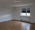 Fireplace, radiator, hardwood floor, window with blinds