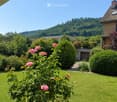 A well-maintained garden with a blooming rose bush in the foreground, surrounded by neatly trimmed hedges and a lush green lawn. The background features a house with a garage and a scenic view of a forested hill under a clear blue sky.