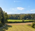 A peaceful rural landscape with green fields, a winding path, and a dense forest in the background under a clear blue sky.