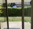 View through a large window showing a well-maintained garden with a concrete patio, neatly trimmed hedges, and neighboring houses visible in the background.