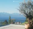 Balcony with glass railing, tiled floor, olive tree in a pot, scenic view of lake and mountains.
