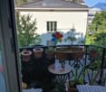 Balcony with multiple potted plants, a small table, a chair, a colorful windmill, and a garden hose.