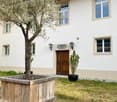 Two-story house with white walls, multiple windows, and a wooden front door. An olive tree is planted in a wooden planter, and a small potted plant is near the entrance.