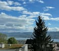 View from a rooftop showing a cityscape with a lake, mountains, and a tall evergreen tree in the foreground.