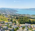 Aerial view of a suburban neighborhood with numerous houses, green spaces, and a large body of water in the background.
