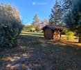 A small wooden shed is situated in a grassy yard surrounded by trees and bushes, with a clear blue sky overhead.