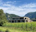 Modern two-story house with large windows and a balcony, surrounded by vineyards and mountains.