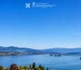 Panoramic view of a lake surrounded by mountains and a town, with clear blue skies and scattered trees in the foreground.