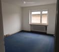 Empty room with blue carpet, white walls, a window with a radiator below, and electrical outlets on the wall.