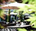 An outdoor dining area with tables, chairs, and umbrellas, surrounded by greenery and trees.
