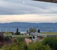 View of a suburban neighborhood with green roofs, trees, and distant mountains and lake.