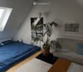 Cozy attic room with a bed, sofa, coffee table, floor lamp, and a large potted plant. The room features wooden flooring, a skylight window, and a mirror on the wall.