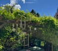 A lush garden area with a wooden pergola, green metal table and chairs, a bench, and a small mirror on a stand.