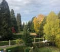 Well-maintained garden with neatly trimmed hedges, a variety of trees, a small lawn, and a white car parked on the driveway.