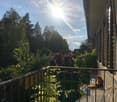 Balcony with metal railing, potted plants, and a cat sitting on the edge, overlooking a green, tree-filled area with a clear blue sky.