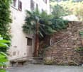 Courtyard with stone-paved ground, stone bench, stone wall with climbing plants, palm tree, and steps leading to a building entrance.