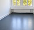 Empty room with dark blue walls and floor, large windows with white frames, radiator below windows, no furniture or equipment.