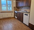 kitchen area with sink, stove, dishwasher, cabinets, radiator