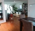 A modern, open-concept living and dining area with wooden flooring, a large potted plant, a dining table with chairs, a bookshelf, and a television in the background.