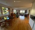 Bright, open-plan living and dining area with wooden flooring, large windows, a sofa, coffee table, dining table with chairs, pendant light, and cabinetry.