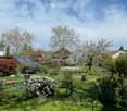 Well-maintained garden with various plants, shrubs, and trees, featuring a red umbrella, a bench, and a small fence.