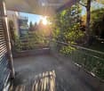 Balcony with metal railing, concrete floor, and lush greenery in the background.