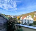 Balcony with potted plants and decorative items, overlooking a residential area with houses and a distant hill under a clear blue sky.